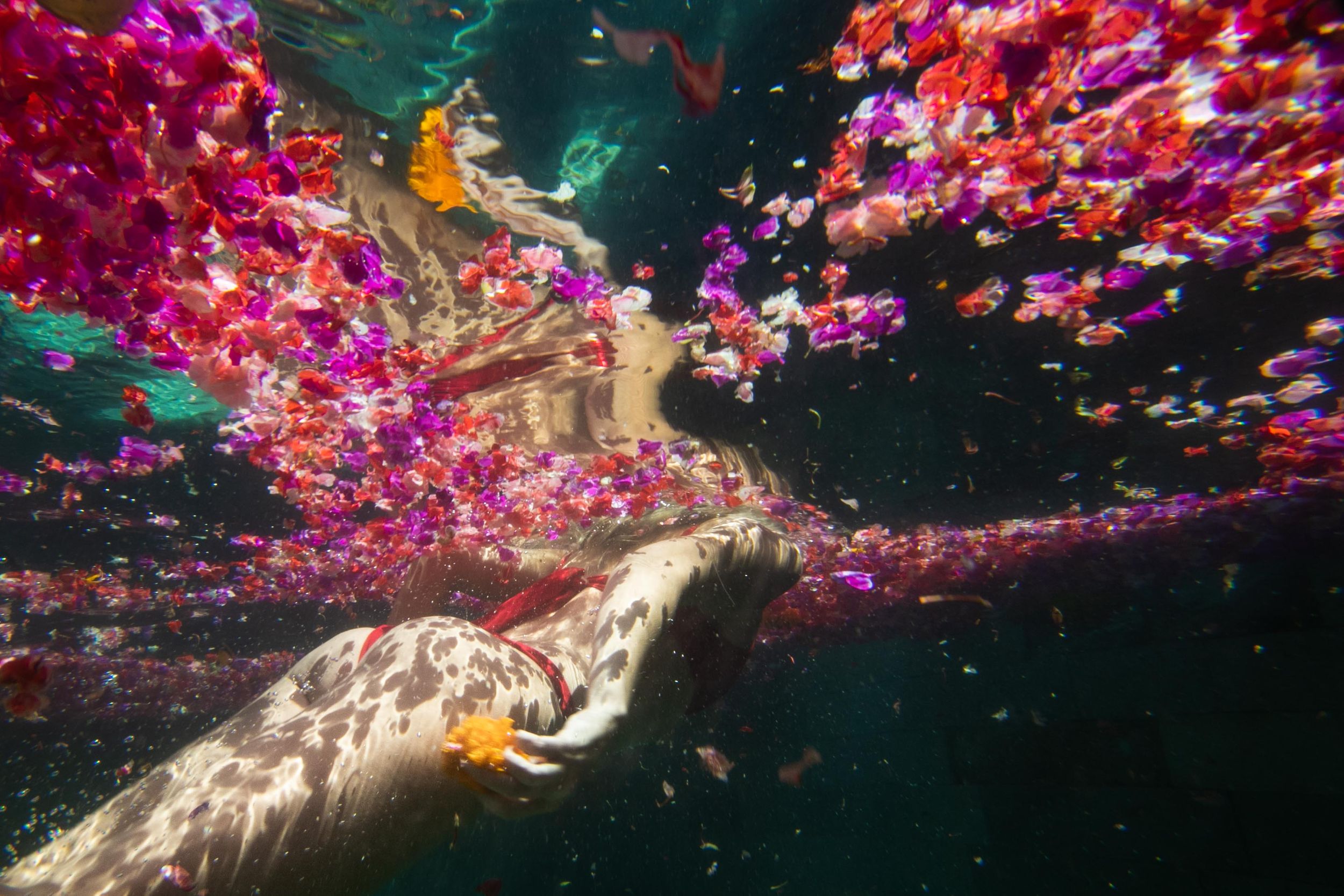 Floating petals cast shadows on a woman's body underwater