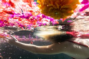 A woman reaching for a flower underwater