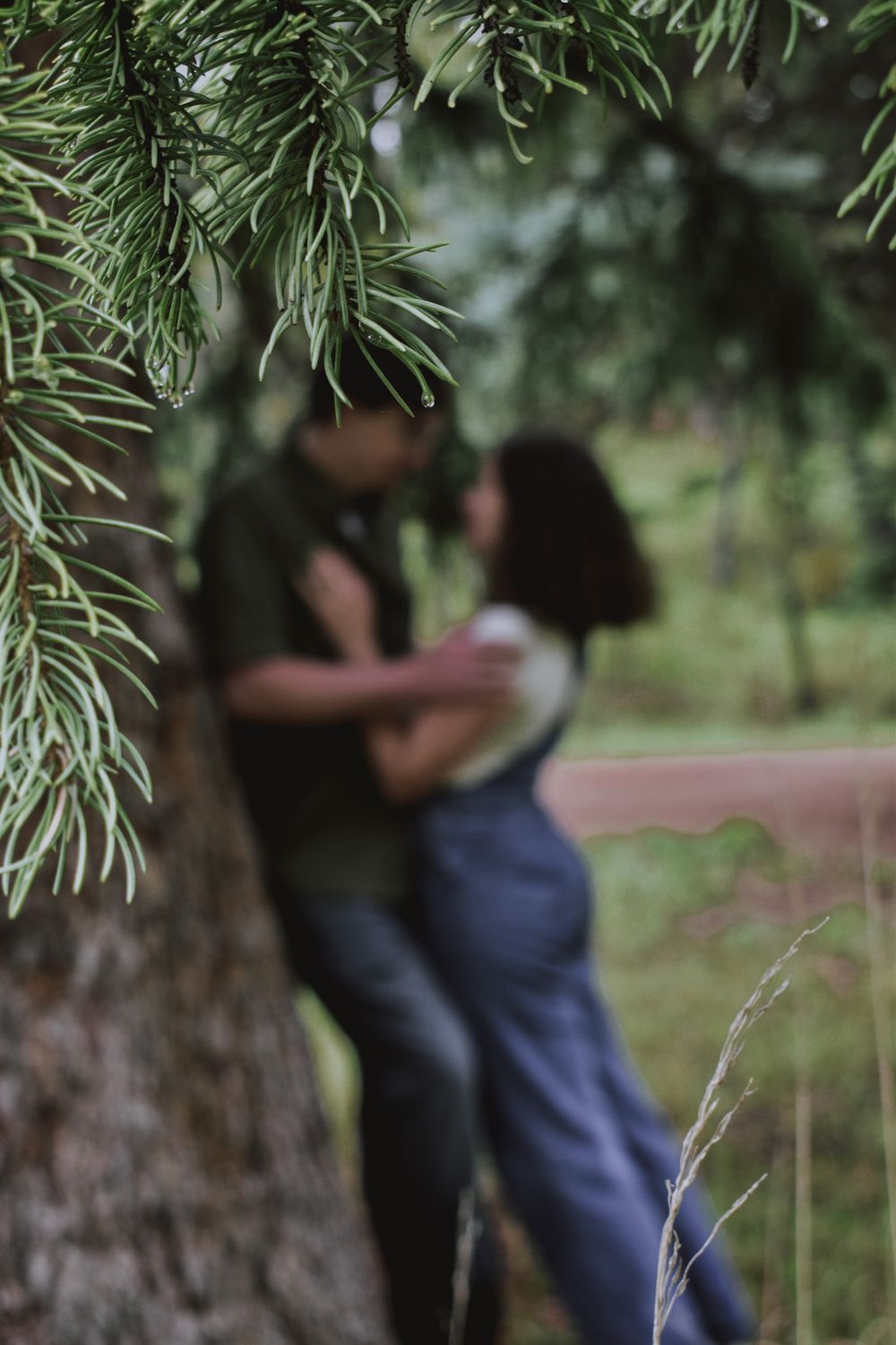 Blurred couple embracing and kissing behind pine tree branches in a lush green outdoor setting.