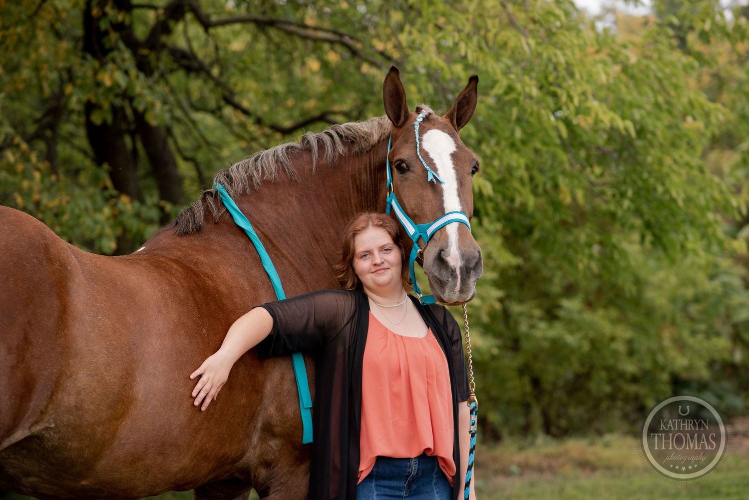 A chestnut horse with turquoise halter equipment stands against a leafy background.
