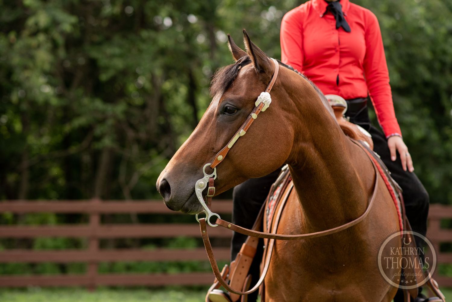 Close-up of chestnut horse with western tack and rider in red shirt.