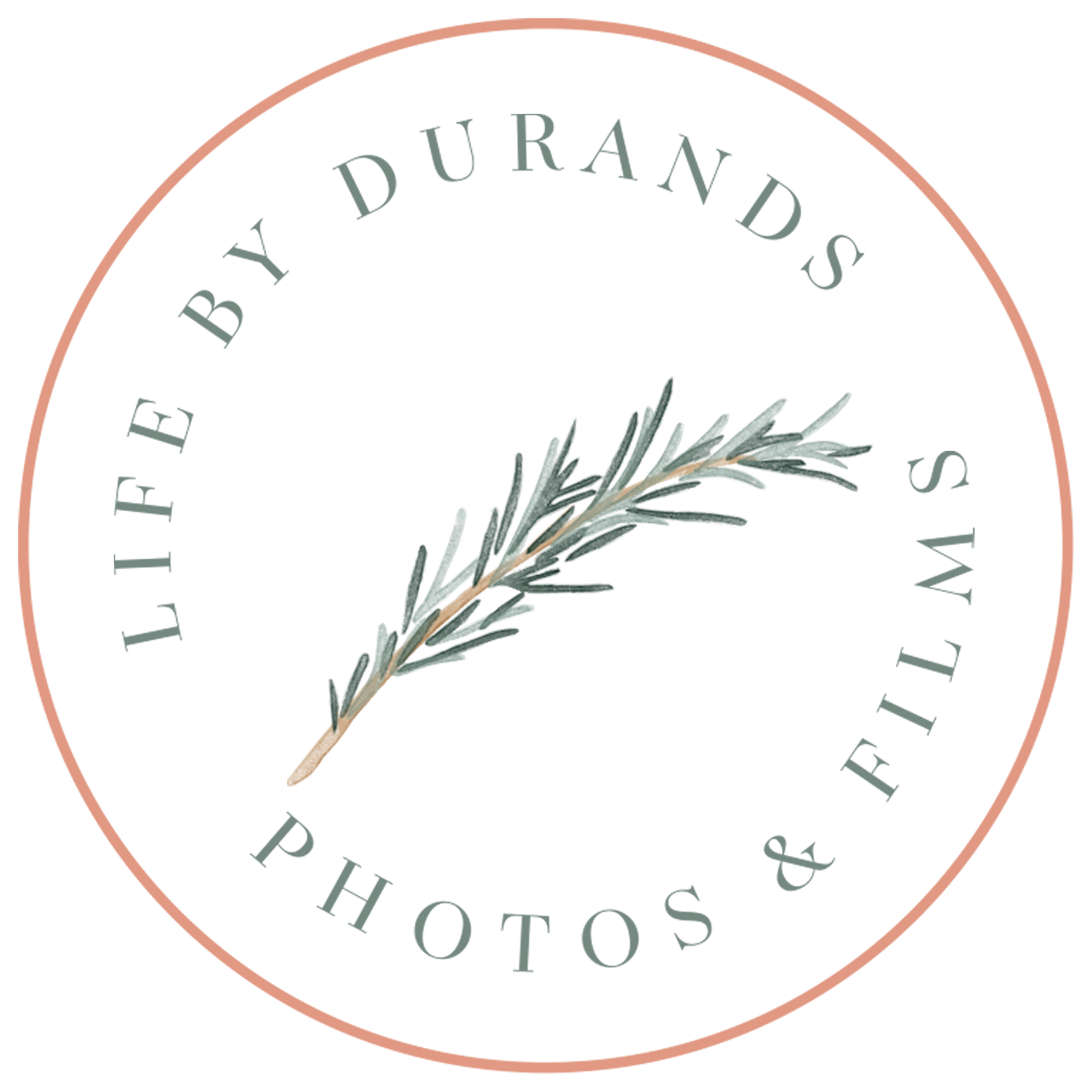 Minimalist botanical logo design with rosemary sprig in circle frame.