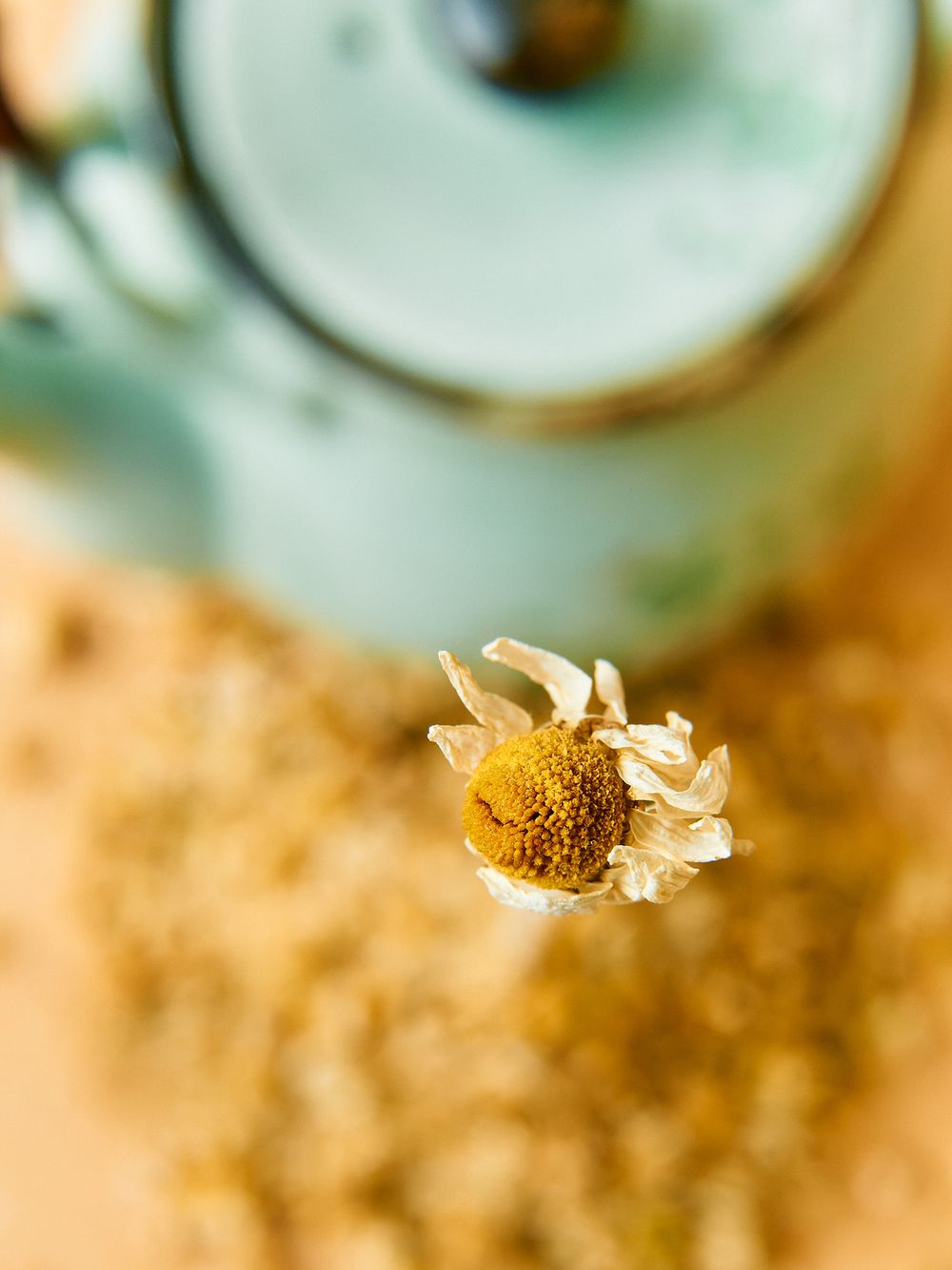 Artistic shot of dried chamomile flower with teapot blurred in background.