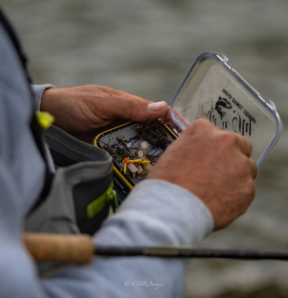 Close-up of hands selecting flies from a fishing tackle box.