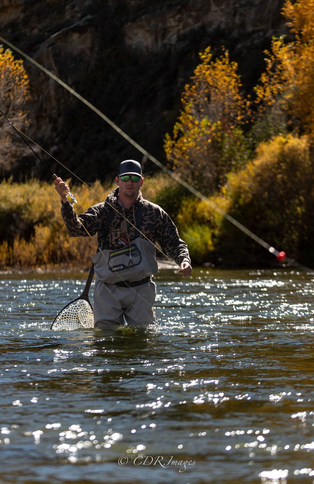 Fly fisherman casting in mountain stream with golden fall foliage in background.