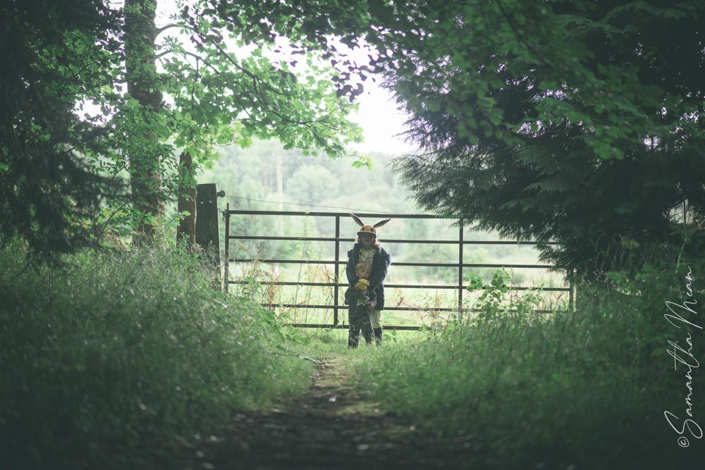 Mote Park Roscommon
