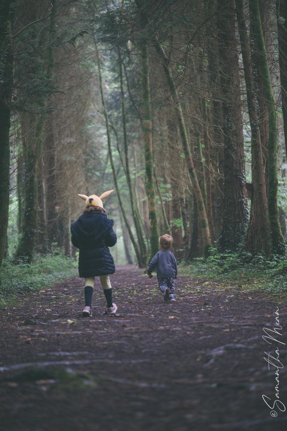 Mote Park Roscommon