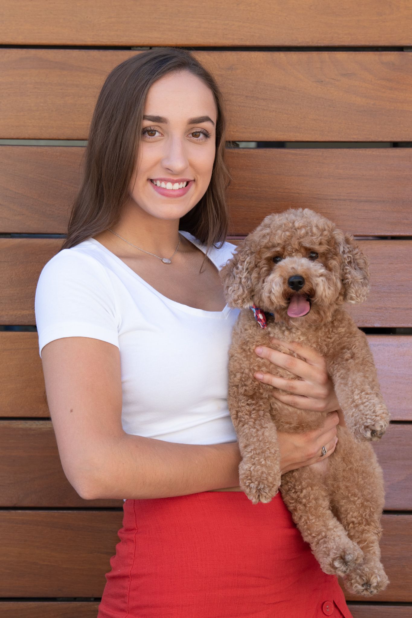 Red Toy Poodle, red skorts, long hair, Kathleen Murphy Photography