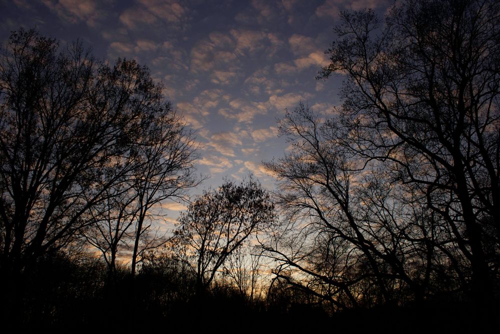 Dramatic sunset sky with silhouetted trees and pink-orange clouds.