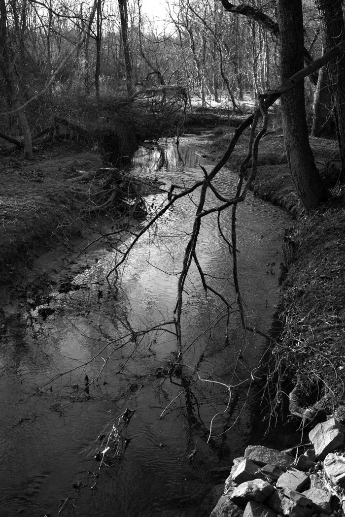 Black and white photograph of a creek winding through bare winter trees.
