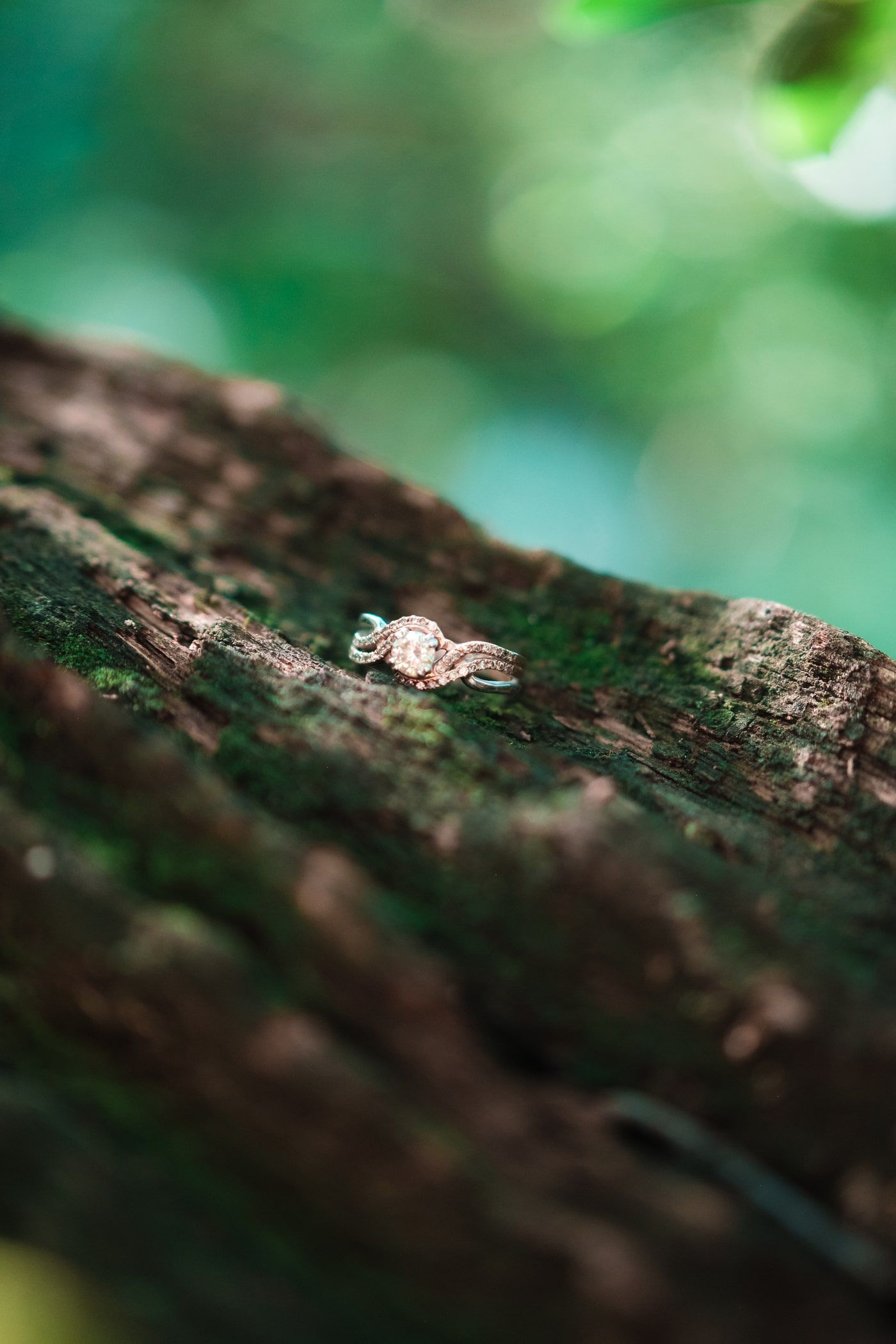 Engagement ring on log in forest