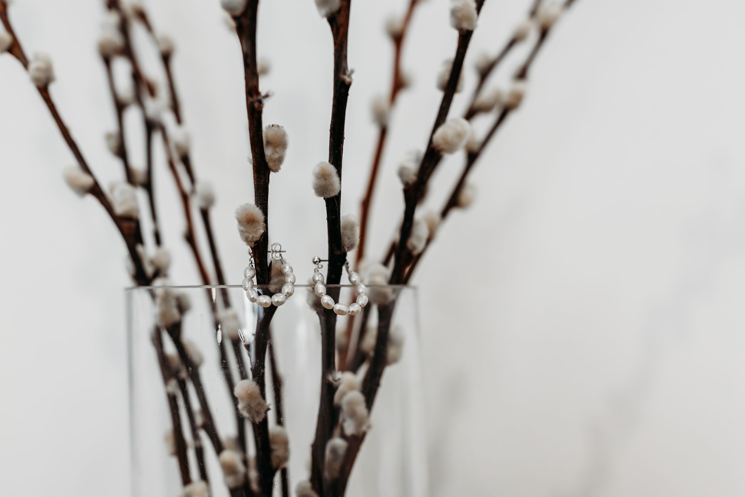 Close-up of white pussy willow branches in a vase against a light background.