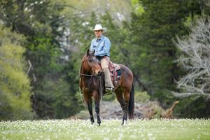 cowboy sitting on his horse in a field