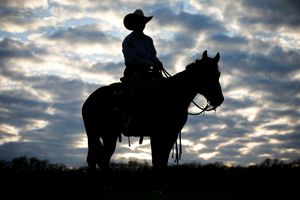 horseback cowboy silhouette