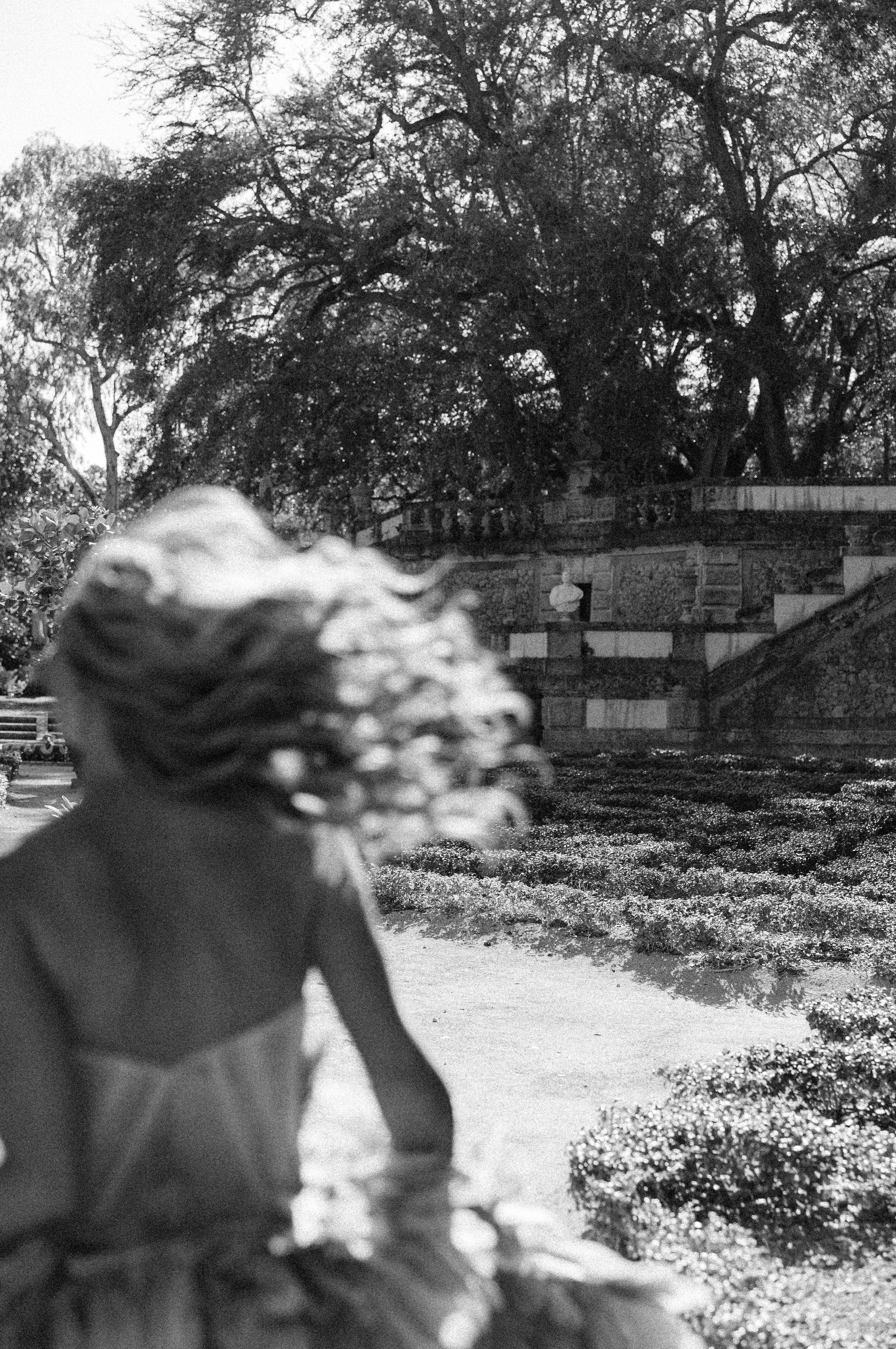 A artistic black and white shot capturing movement and sunlight in a garden setting.