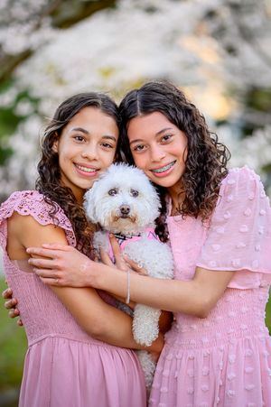 Two sisters in pink dresses hold their white dog as they embrace in front of Kenwood cherry blossoms in the DC suburbs