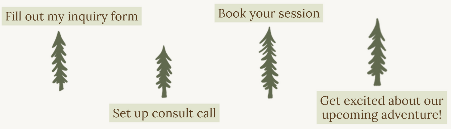 Illustrated booking process guide showing four steps with pine tree icons on a cream background.