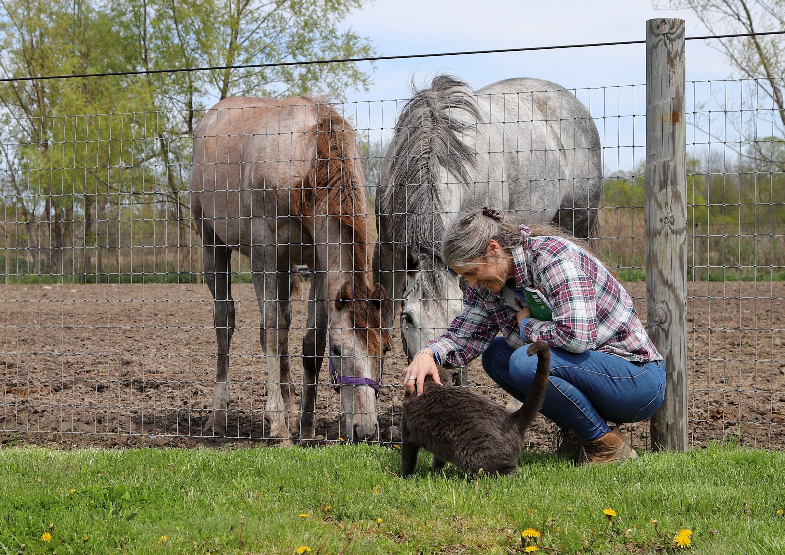 About Foggy Bottom Farms