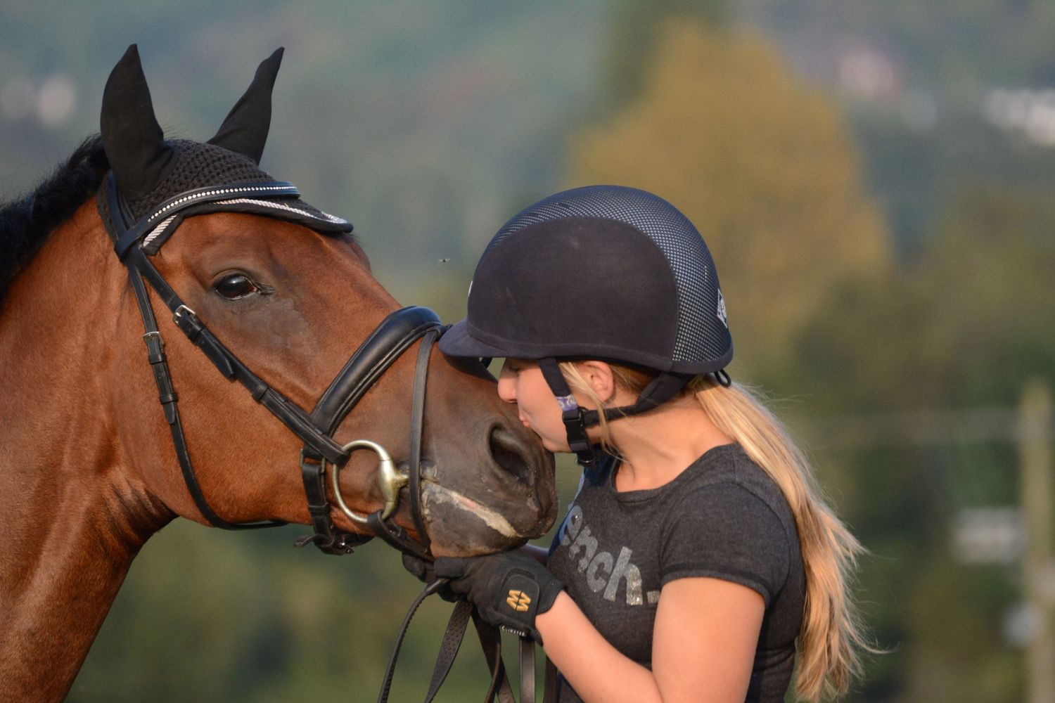 Kisses for horses