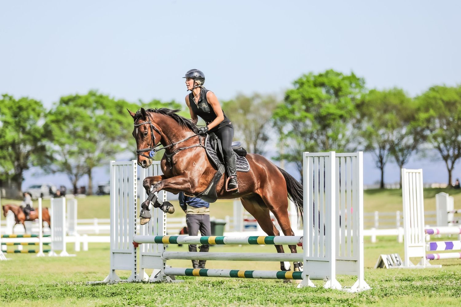Equestrian photography.