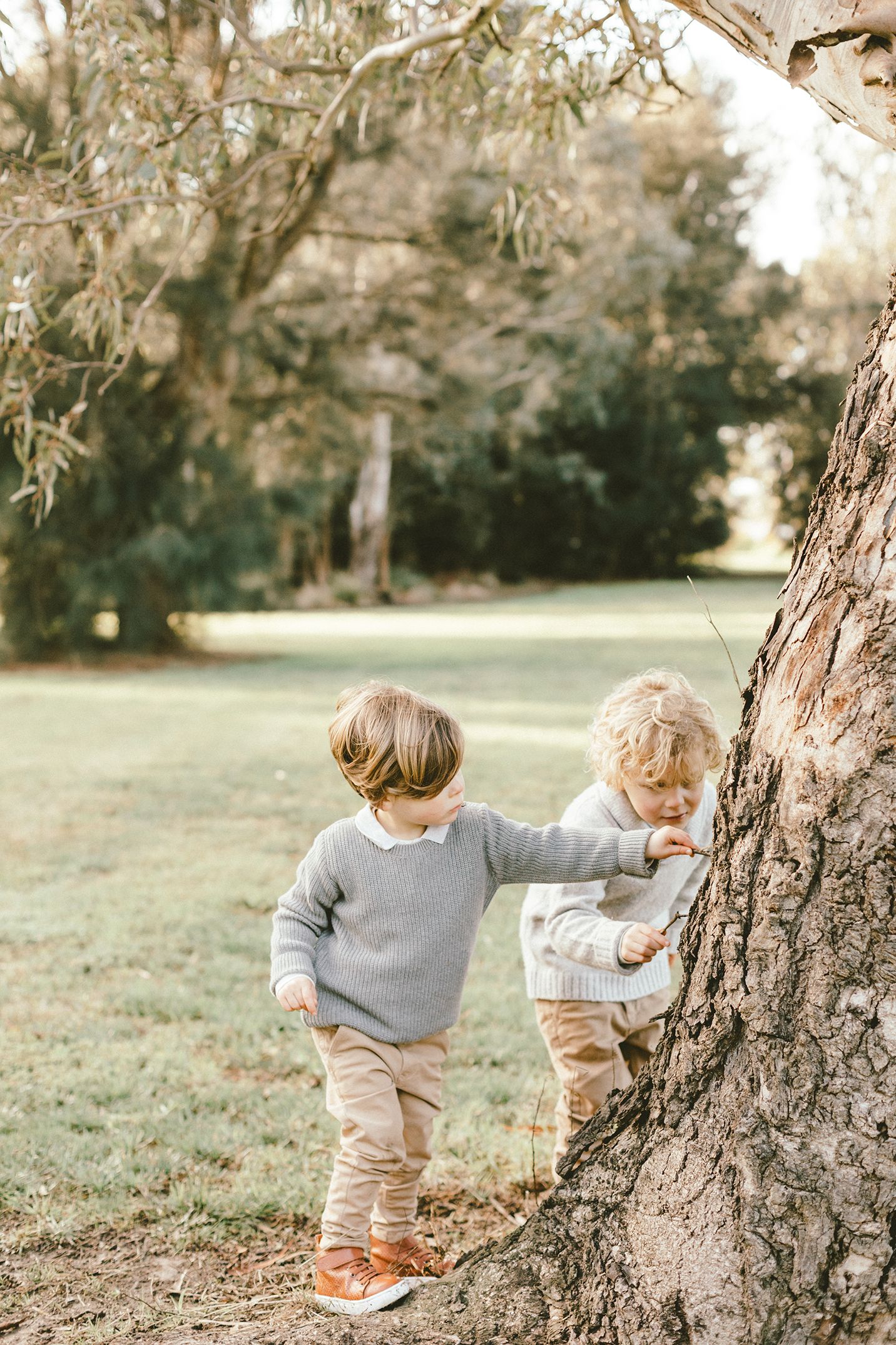 Children in matching grey sweaters explore the base of a large tree trunk in a park setting.