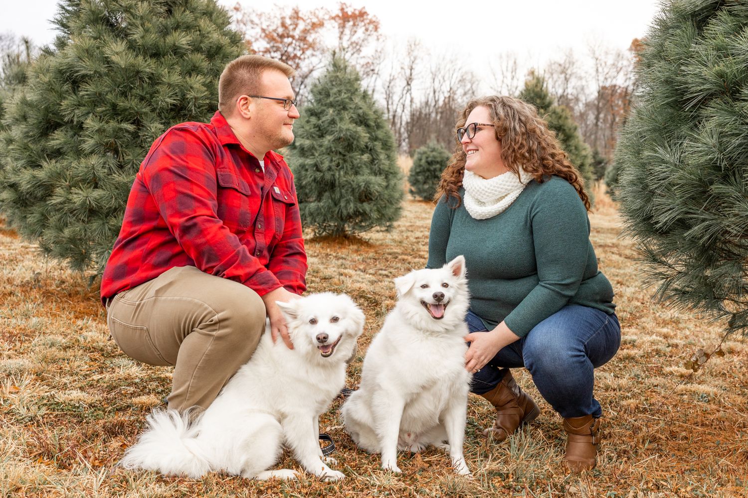 baldauf tree farm engagement