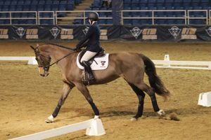 Wedding Photographer, Equine Event Photographer, Second Shooter Photographer in East Tennessee, TN, near Chattanooga, TN and North GA area