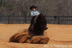 Wedding Photographer, Equine Event Photographer, Second Shooter Photographer in East Tennessee, TN, near Chattanooga, TN and North GA area