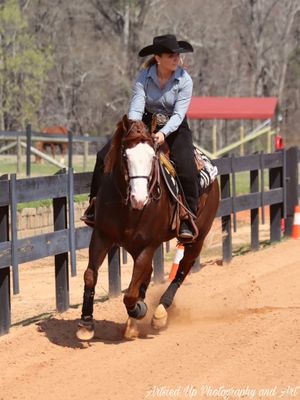 Wedding Photographer, Equine Event Photographer, Second Shooter Photographer in East Tennessee, TN, near Chattanooga, TN and North GA area