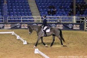 Wedding Photographer, Equine Event Photographer, Second Shooter Photographer in East Tennessee, TN, near Chattanooga, TN and North GA area