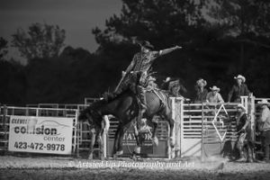 Wedding Photographer, Equine Event Photographer, Second Shooter Photographer in East Tennessee, TN, near Chattanooga, TN and North GA area
