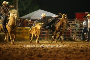 Wedding Photographer, Equine Event Photographer, Second Shooter Photographer in East Tennessee, TN, near Chattanooga, TN and North GA area