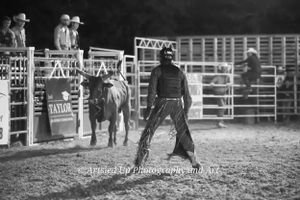 Wedding Photographer, Equine Event Photographer, Second Shooter Photographer in East Tennessee, TN, near Chattanooga, TN and North GA area