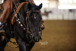 Wedding Photographer, Equine Event Photographer, Second Shooter Photographer in East Tennessee, TN, near Chattanooga, TN and North GA area