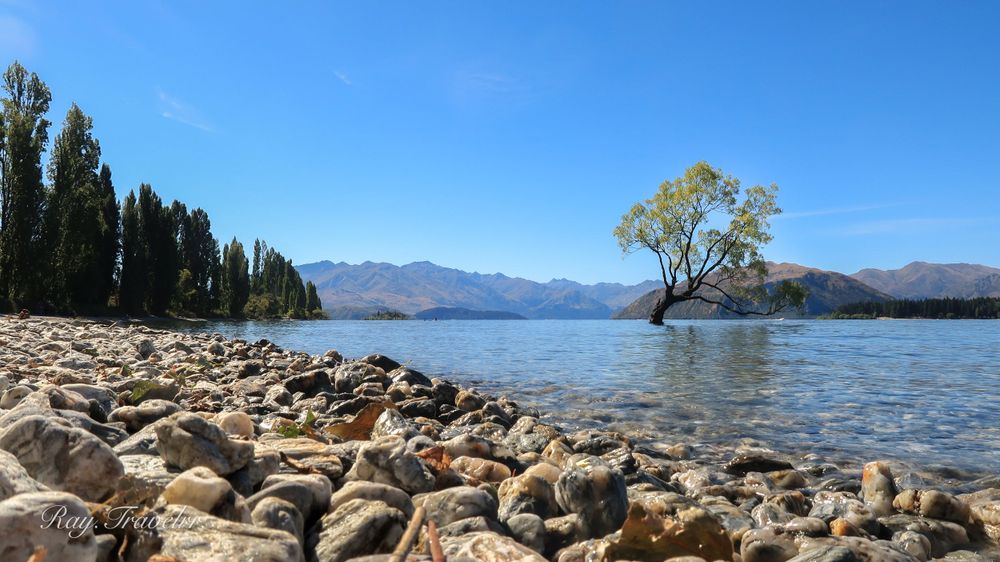 Rocky shoreline with a solitary tree against mountains and blue water at Lake Wanaka, New Zealand.