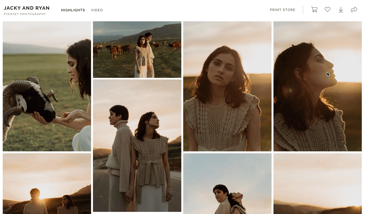 A collection of warm-toned lifestyle photos showing intimate moments between people at sunset.