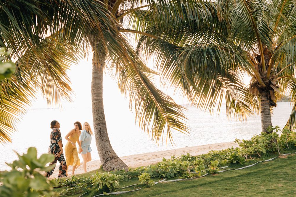 People strolling beneath swaying palm trees along a scenic tropical beach path.