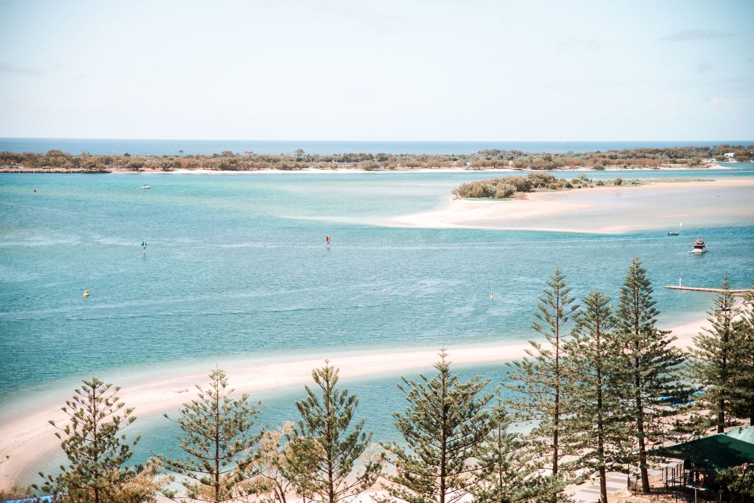 Aerial view of a pristine beach coastline with turquoise waters and pine trees.
