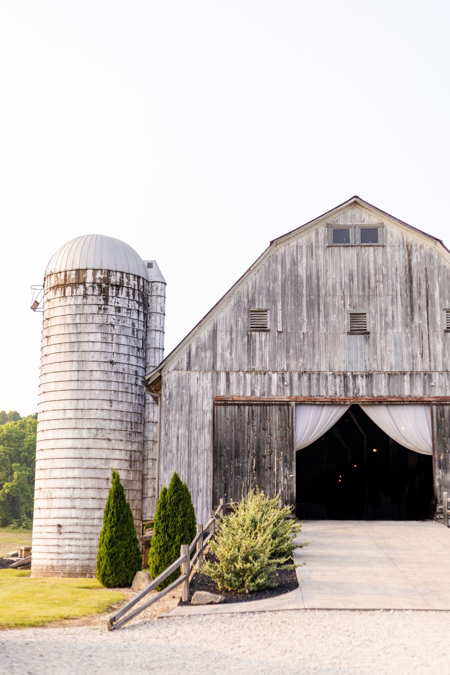 Rustic weathered gray barn with white curtained entrance beside a tall grain silo, surrounded by evergreen shrubs on a farm.