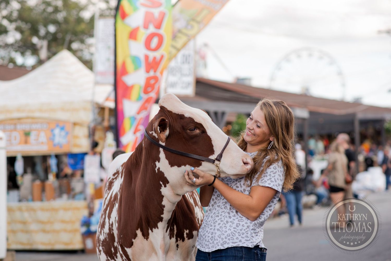 Someone gently pets a brown and white dairy cow at a bustling county fair.