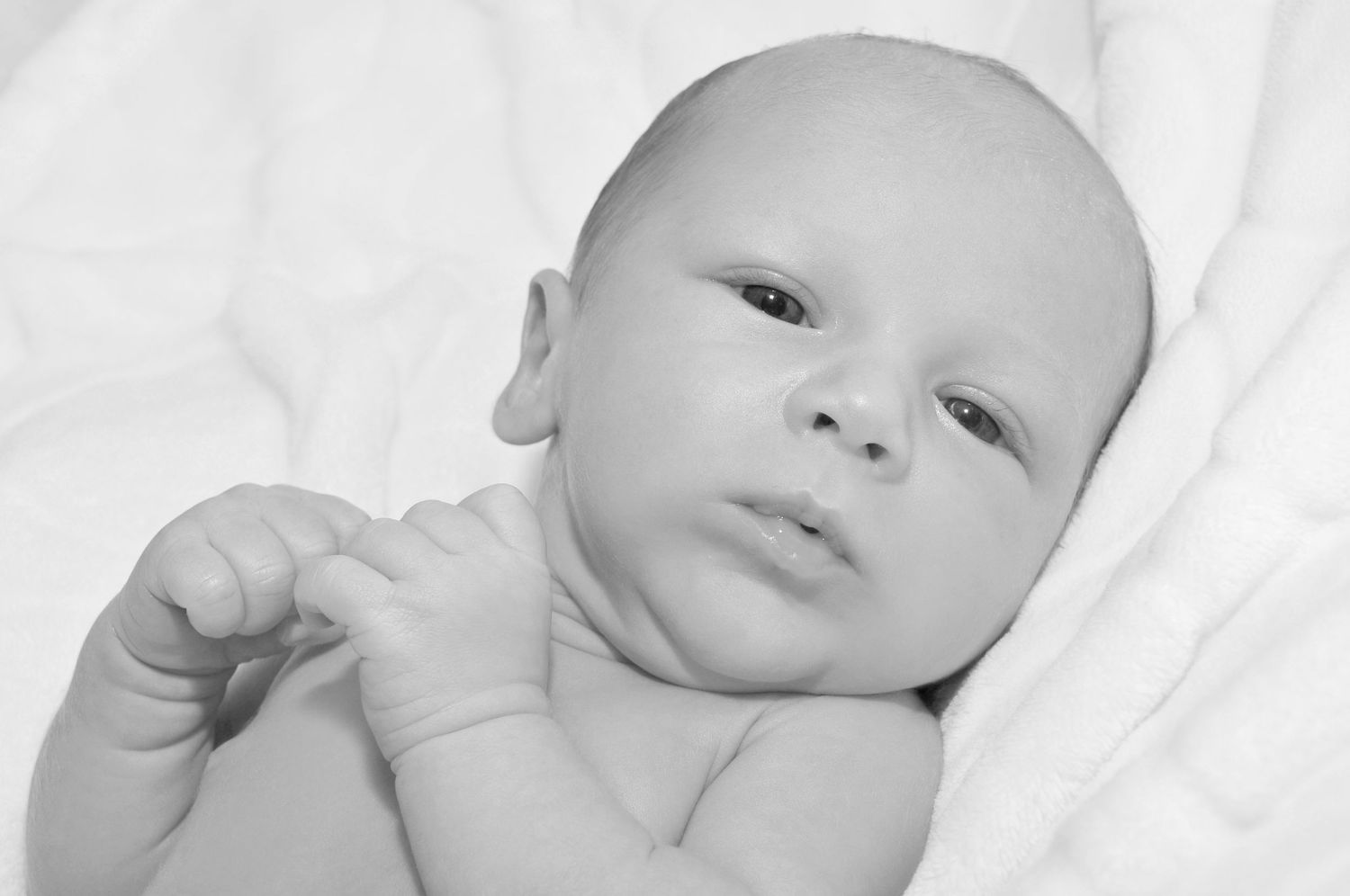 Newborn black and white photo