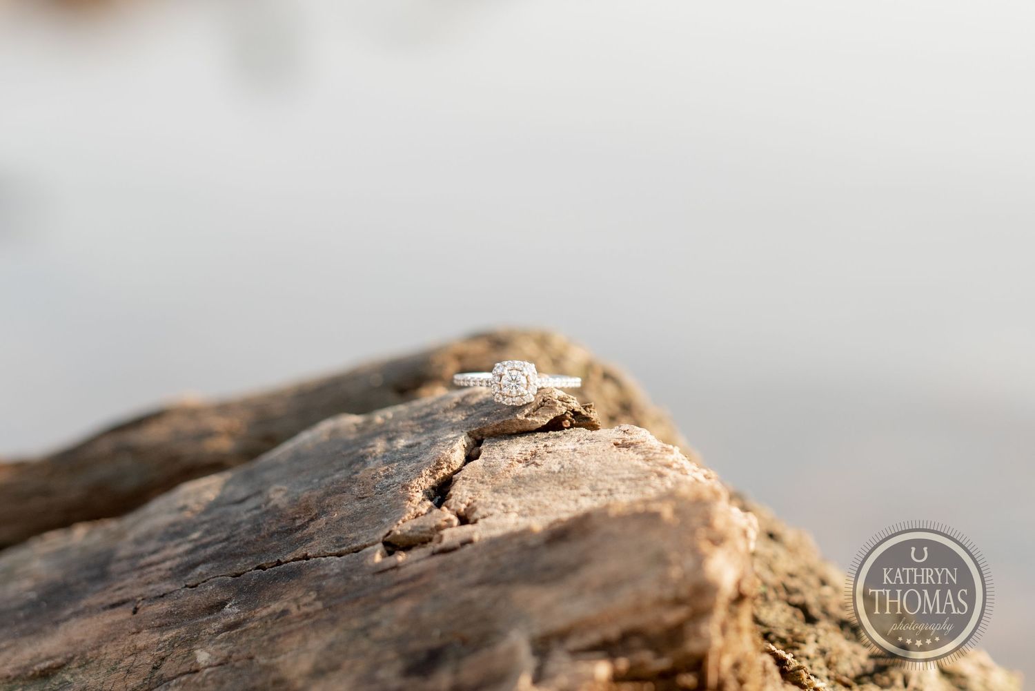 A sparkling engagement ring rests on weathered driftwood with soft focus background.