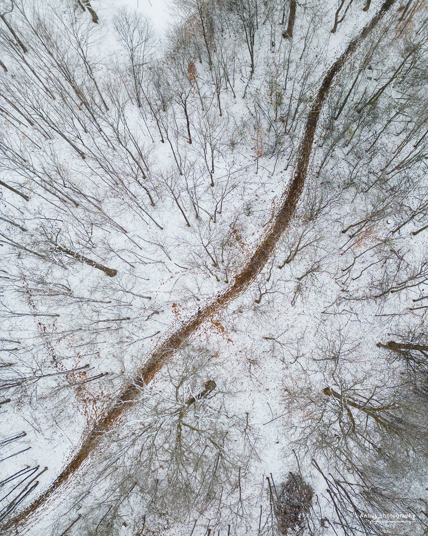 Aerial winter view of a snowy forest path creating a striking linear pattern through snow-covered trees.