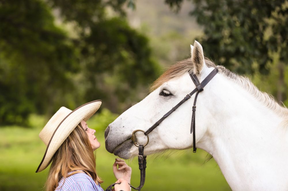 Horse & rider photographer Brisbane