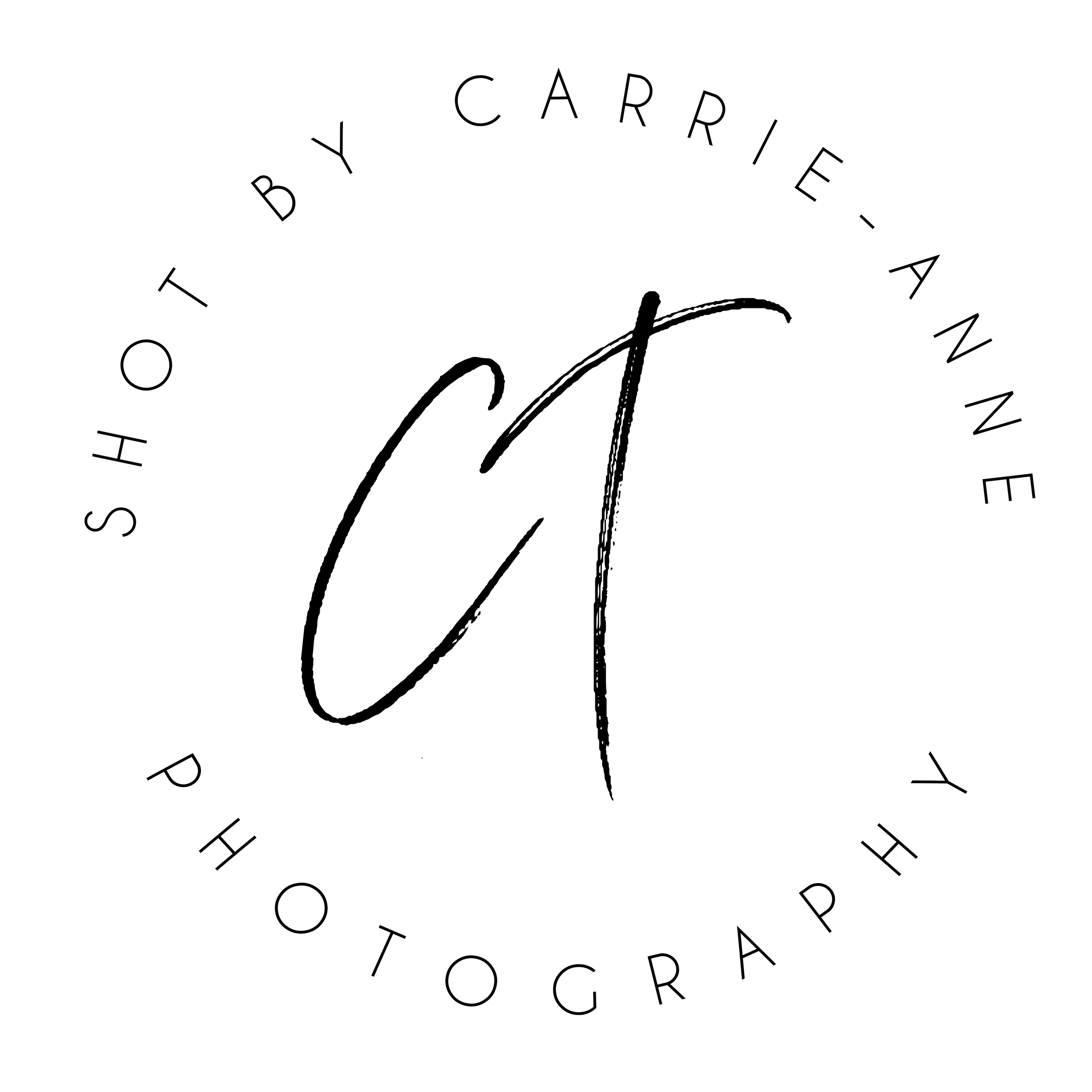 Circular black and white logo design for Carrie-Anne Photography with stylized CT monogram.