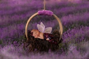 Vibrant purple lavender field with woven baskets and soft lighting at sunset.