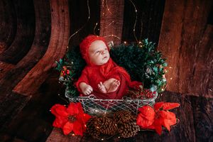 Holiday themed newborn photography with red decorations and pine cones.