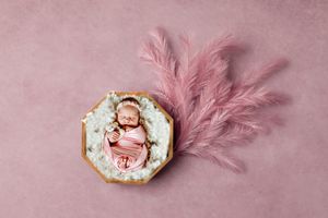 Delicate pink feather and floral arrangement for newborn photography.
