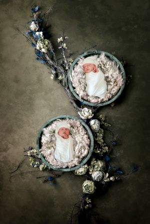 Butterfly-themed newborn photography setup with soft pink and blue floral decorations.