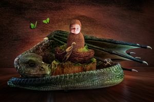 Creative newborn photography featuring baby posed on decorative alligator prop.